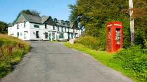 Guest Blog for Visit Dartmoor
